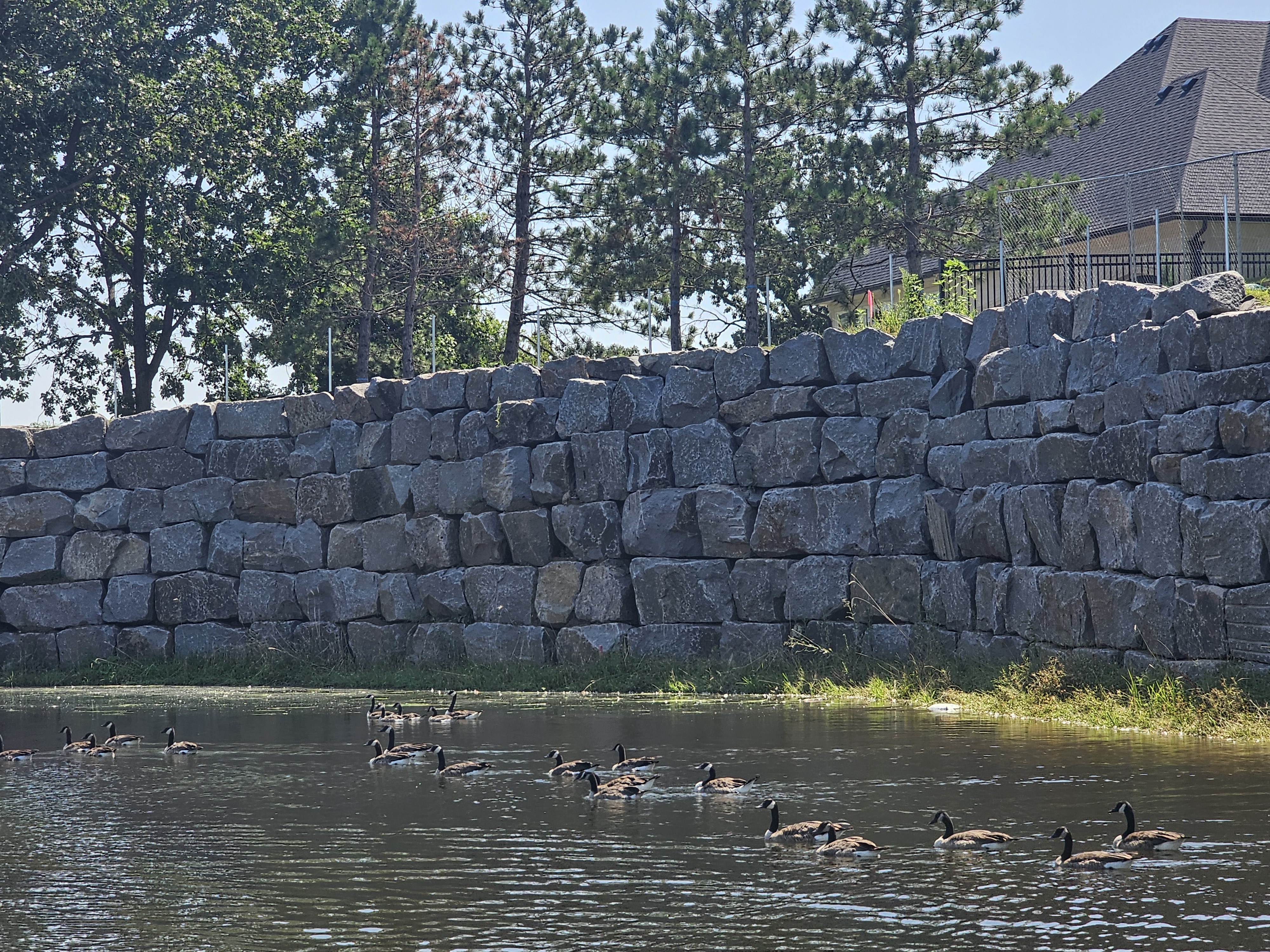 Stone wall project